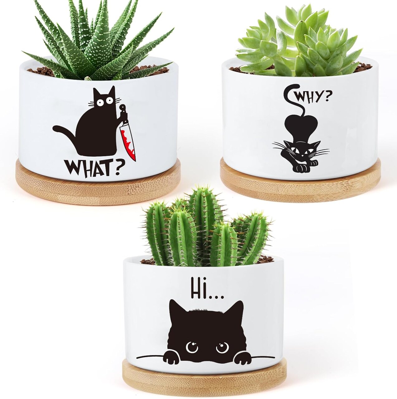 3PCS Funny Printed Ceramic Plant Pots – Succulent Planters with Drainage & Saucers, Gift for Women